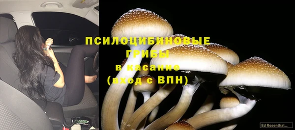 apvp Алексеевка