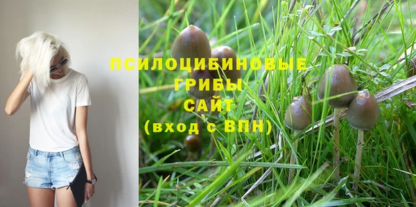 apvp Алексеевка