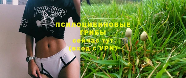 скорость Алексин