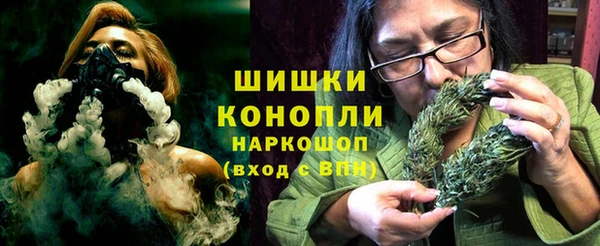 хмурый Алзамай
