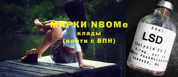 хмурый Алзамай