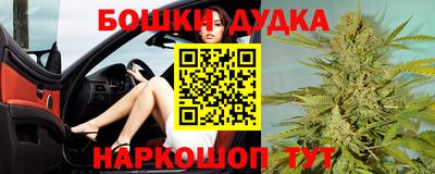 прущие крисы Ставрополь