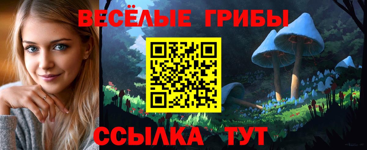 Псилоцибиновые грибы GOLDEN TEACHER  Вход с VPN  Галлюциногенные грибы Cubensis  купить наркотики цена  Новошахтинск 