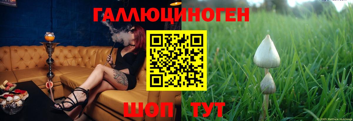 Галлюциногенные грибы GOLDEN TEACHER Новошахтинск